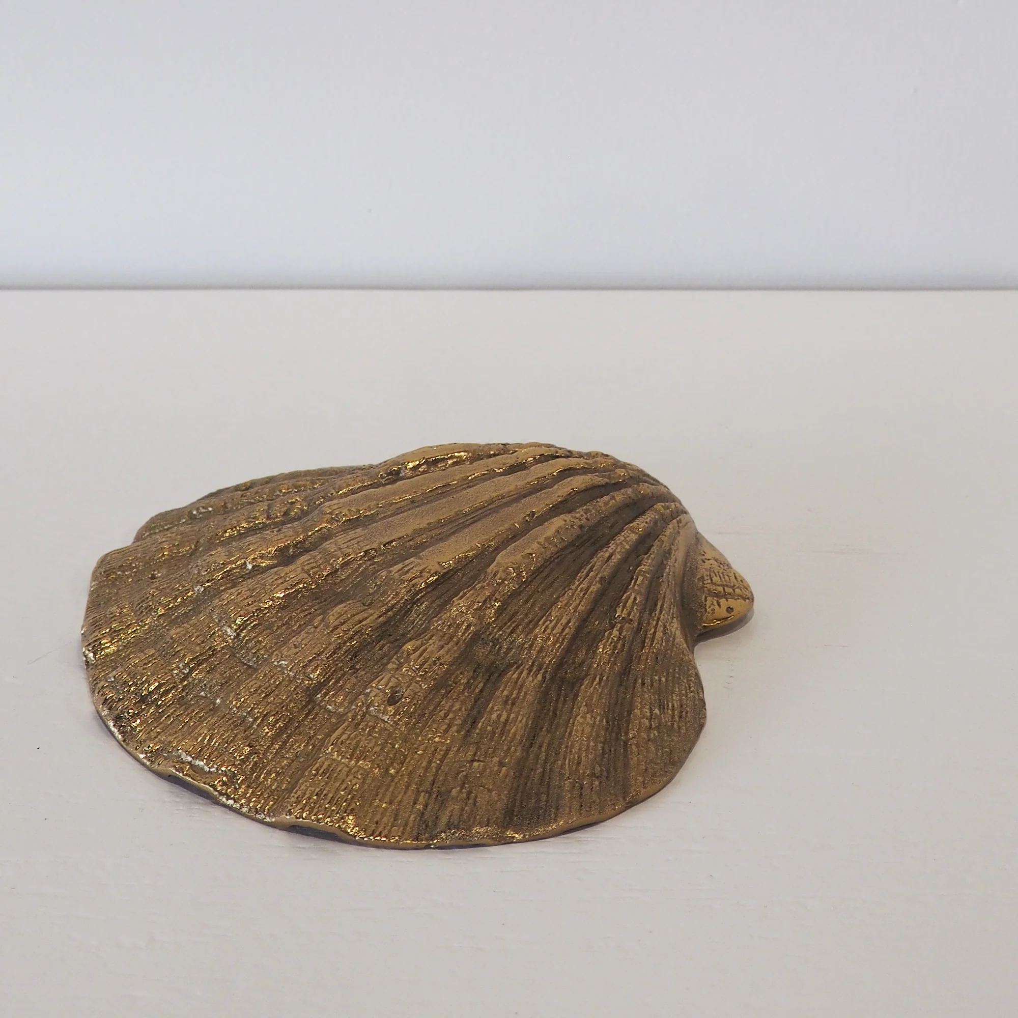 Brass Cockle Shell - Image 3