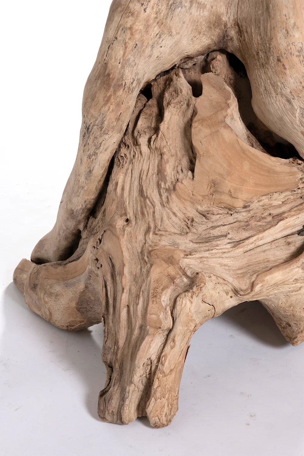 Fungi Coffee Table - Raw - Image 3