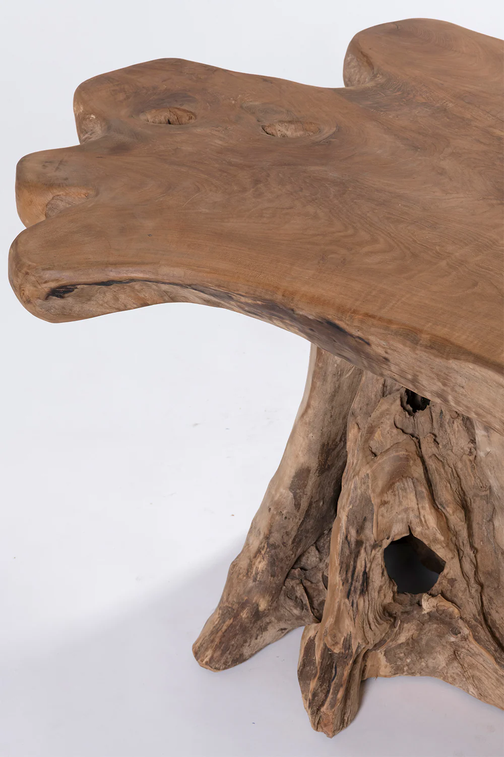 Fungi Coffee Table - Raw - Image 4